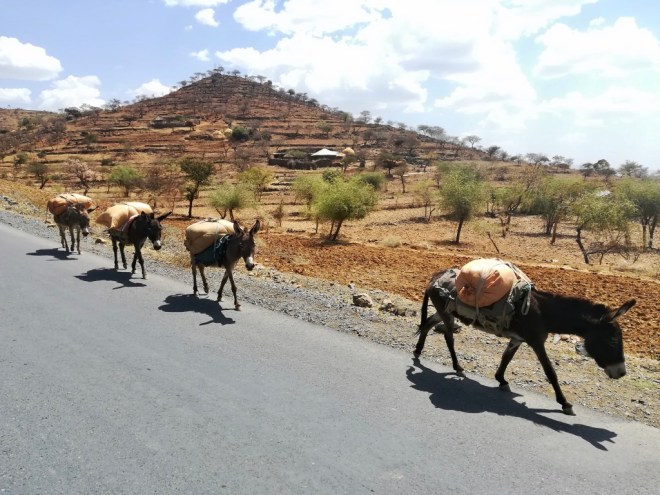 Szl4C1ZoTfy+K5czX3A_thumb_11234