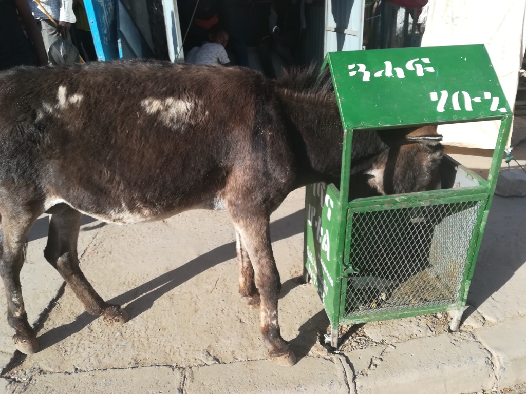 UNADJUSTEDNONRAW_thumb_11256