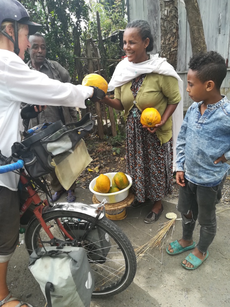 UNADJUSTEDNONRAW_thumb_11310