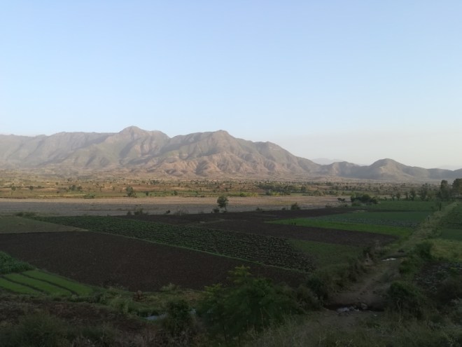 UNADJUSTEDNONRAW_thumb_1134e