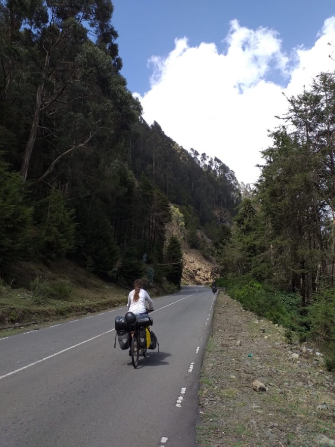 UNADJUSTEDNONRAW_thumb_113af