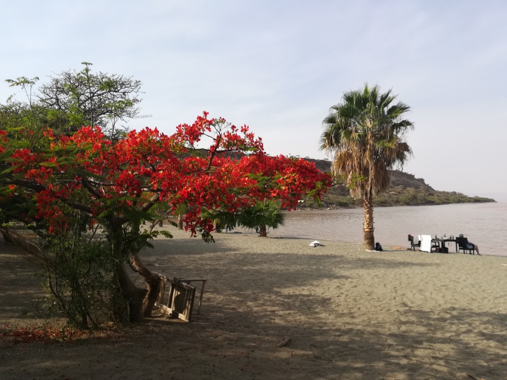 UNADJUSTEDNONRAW_thumb_113e6