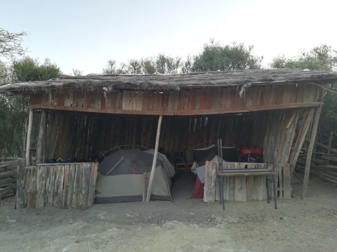 UNADJUSTEDNONRAW_thumb_113e8