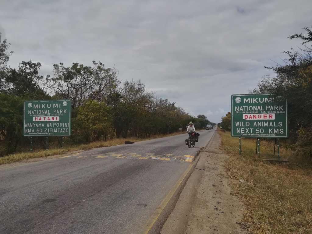 UNADJUSTEDNONRAW_thumb_124eb