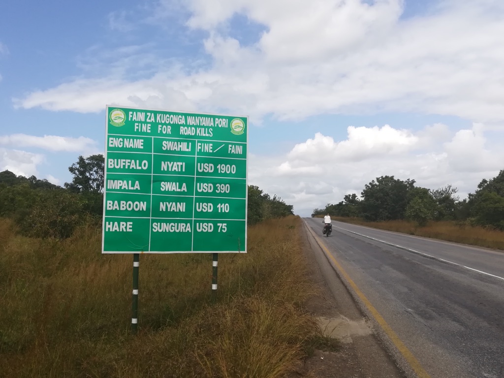 UNADJUSTEDNONRAW_thumb_124f2