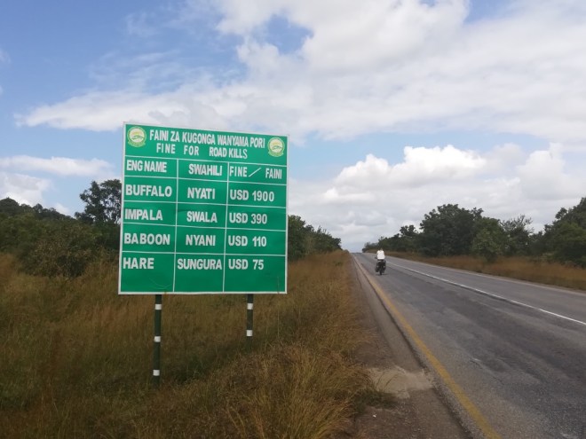 UNADJUSTEDNONRAW_thumb_124f2