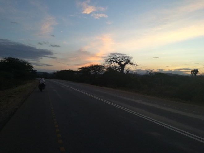 UNADJUSTEDNONRAW_thumb_12509