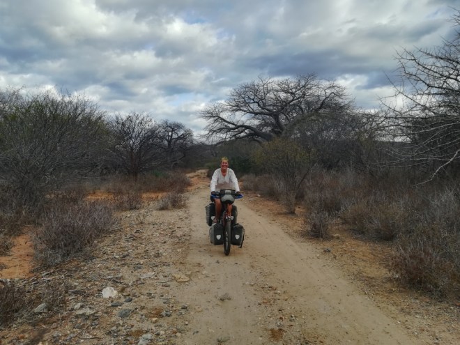 UNADJUSTEDNONRAW_thumb_12513