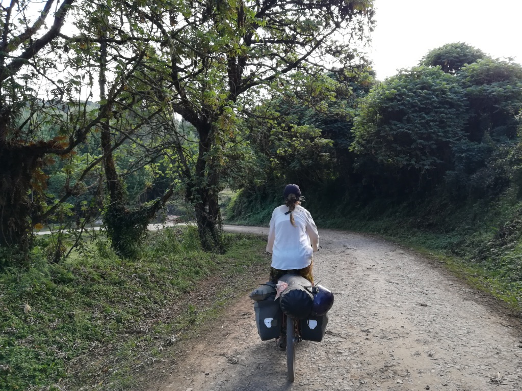 UNADJUSTEDNONRAW_thumb_1256f