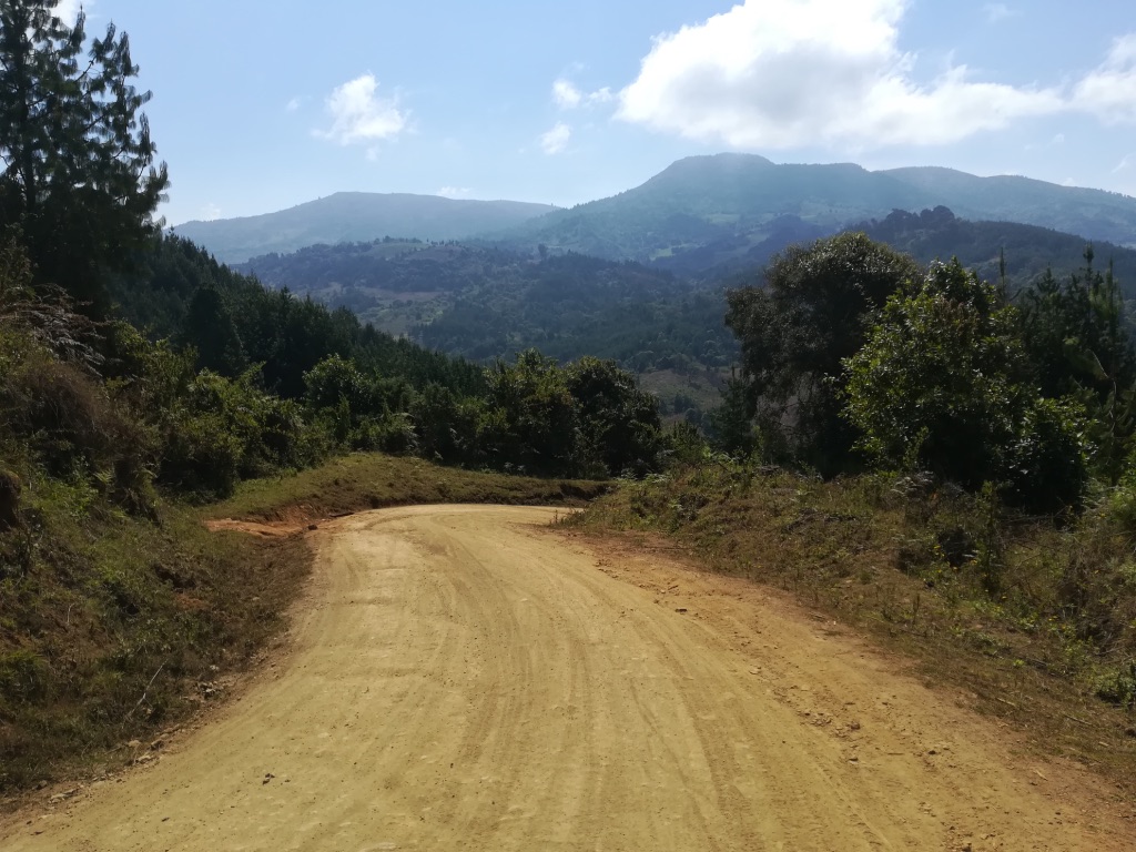 UNADJUSTEDNONRAW_thumb_1257e