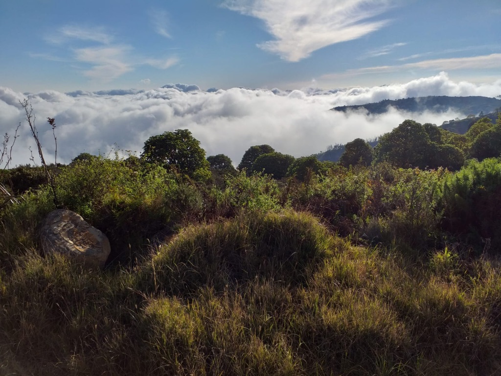 UNADJUSTEDNONRAW_thumb_125aa