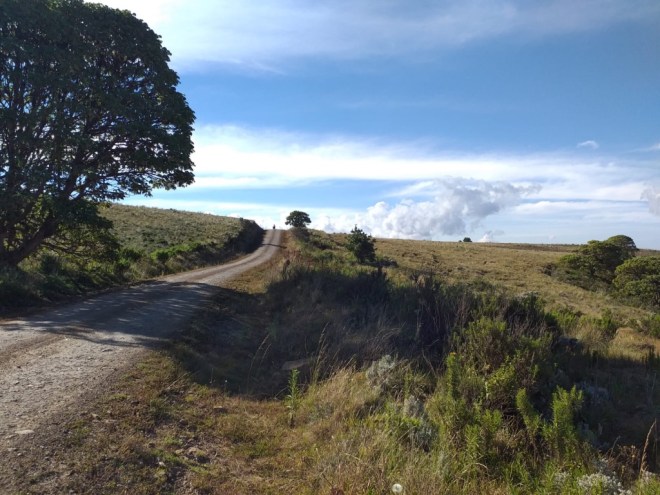 UNADJUSTEDNONRAW_thumb_125b5