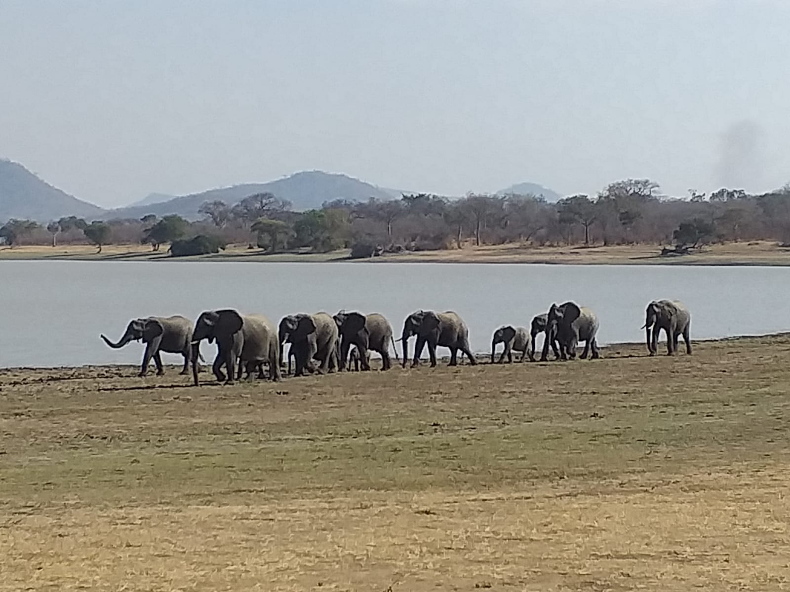 0679996E-7CD2-4BDC-A8E4-D4B7867562C7