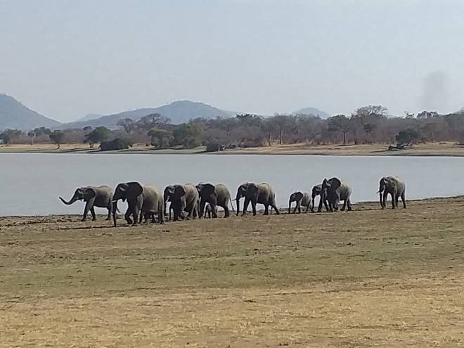 0679996E-7CD2-4BDC-A8E4-D4B7867562C7