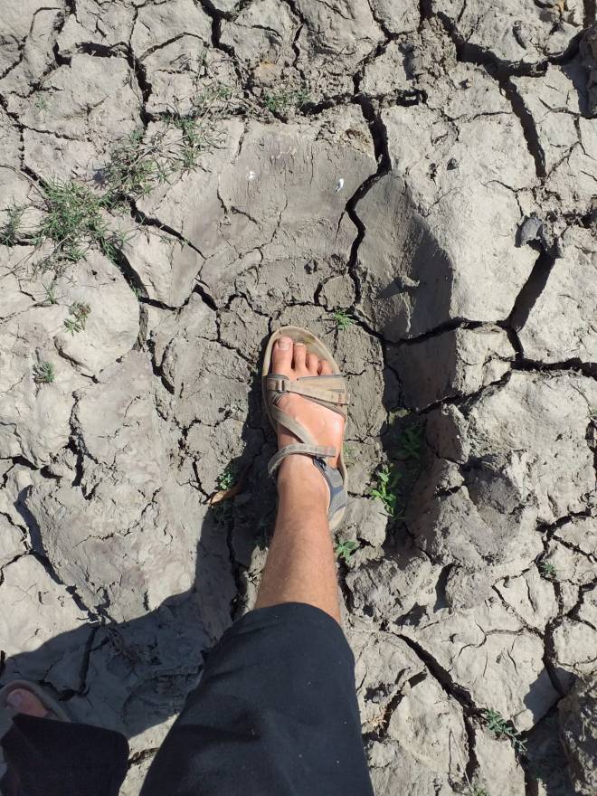 2790C598-FB6D-4C66-9DEC-7F26FFCC996A