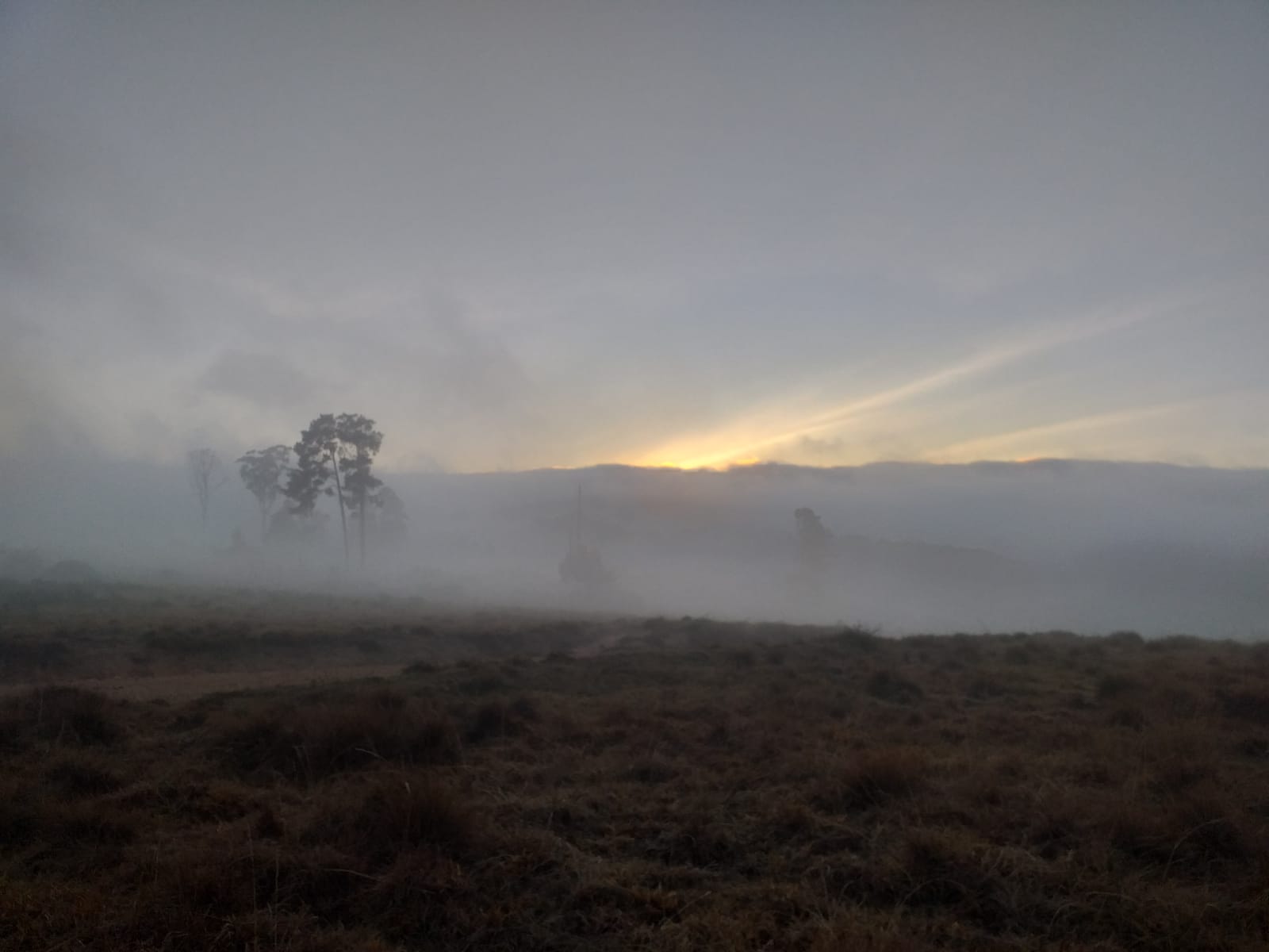 2E59F8F8-66ED-45E9-A5C3-696B1CC091C1