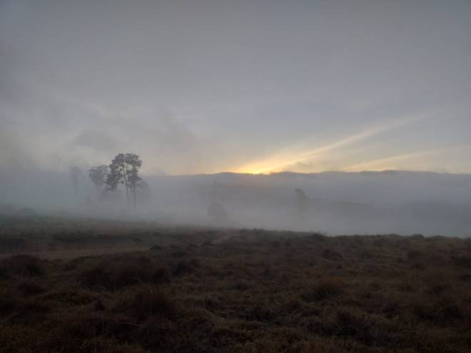 2E59F8F8-66ED-45E9-A5C3-696B1CC091C1