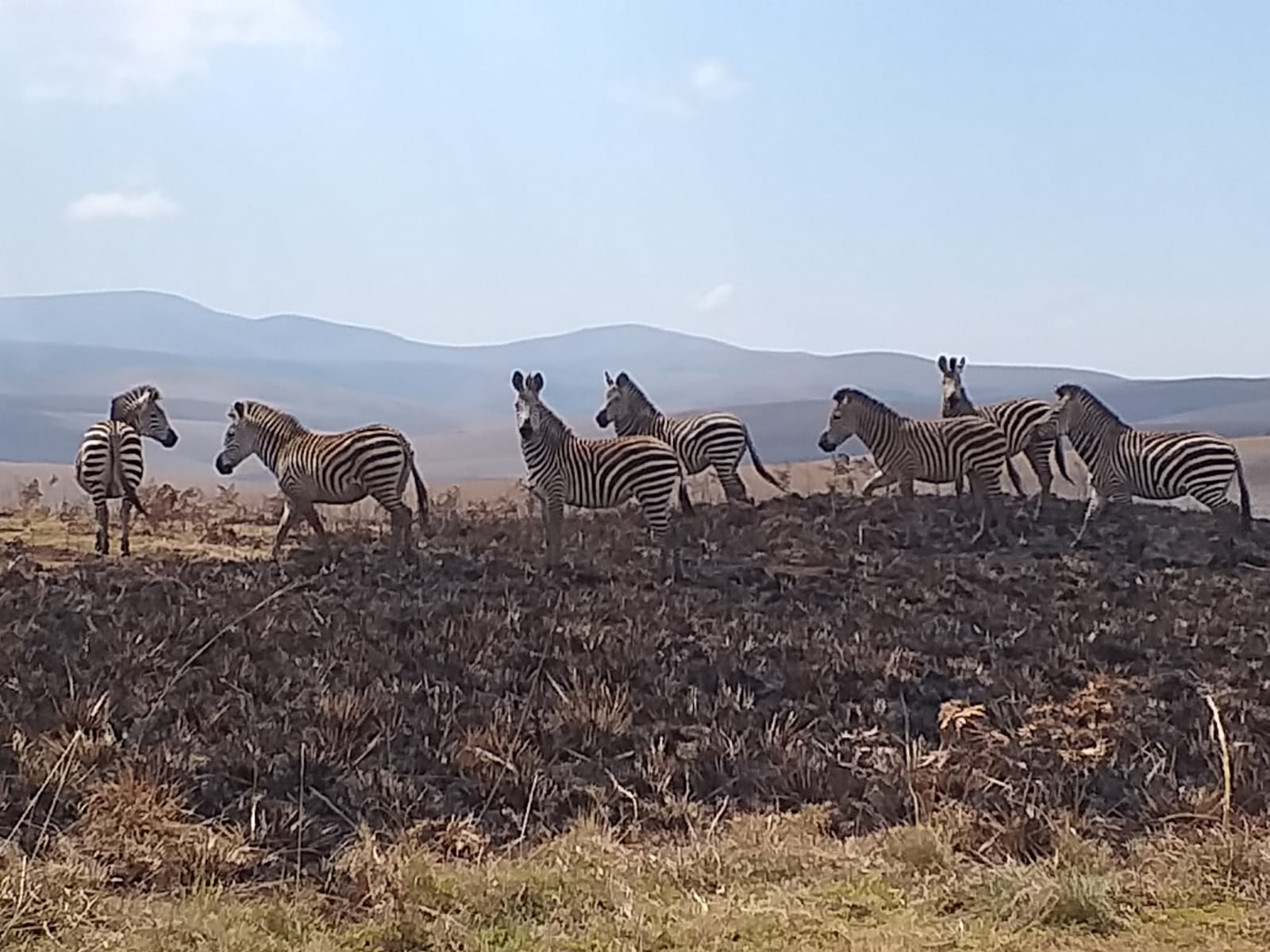 74708854-A2E1-4825-A159-3A58A78FAFF8