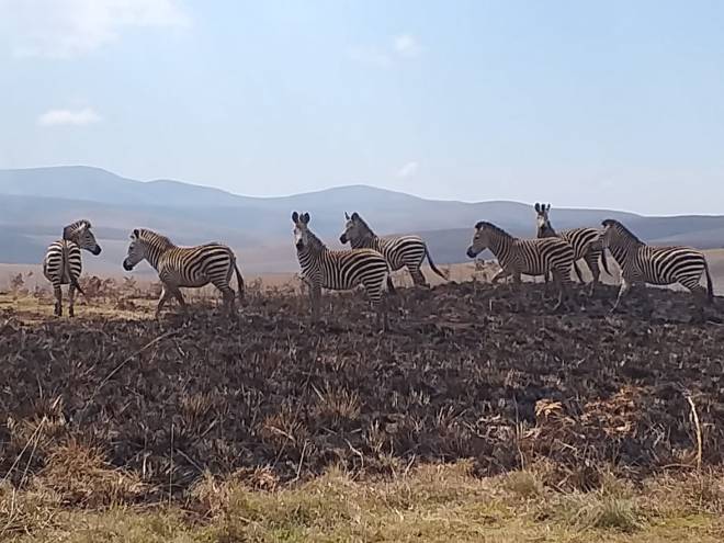 74708854-A2E1-4825-A159-3A58A78FAFF8