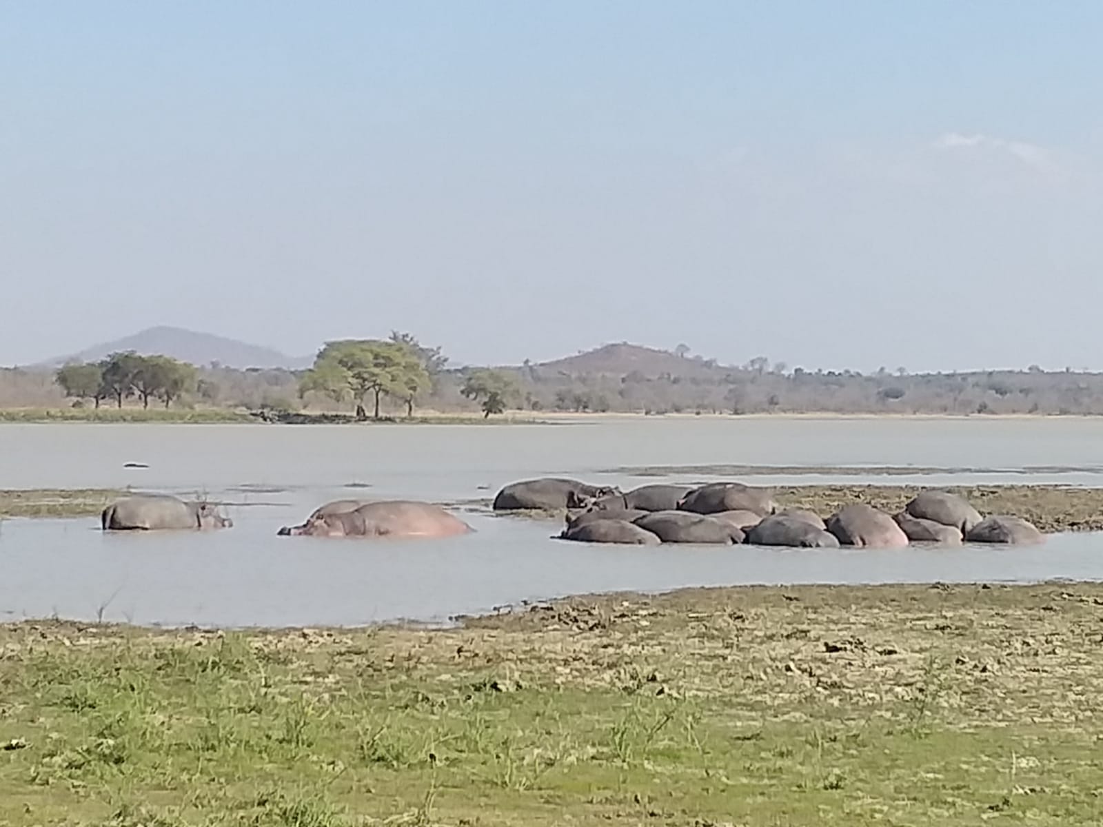 90DF4FD1-3871-42B4-BFF1-06C0EDC45BA5