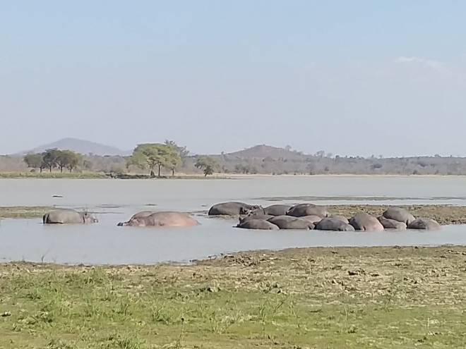 90DF4FD1-3871-42B4-BFF1-06C0EDC45BA5