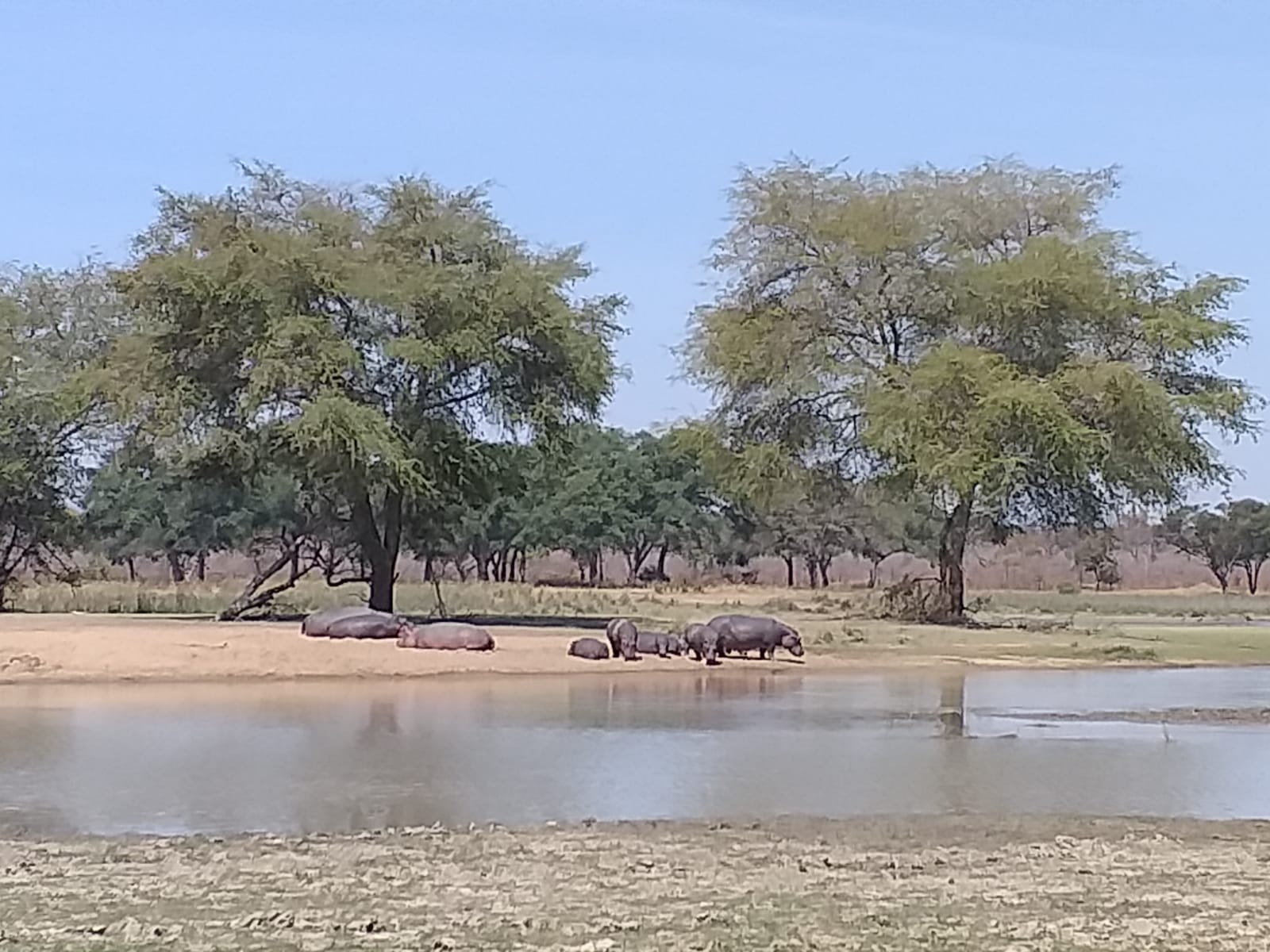 C05DBD32-E56D-4436-AB8B-C2BEA1329DD2