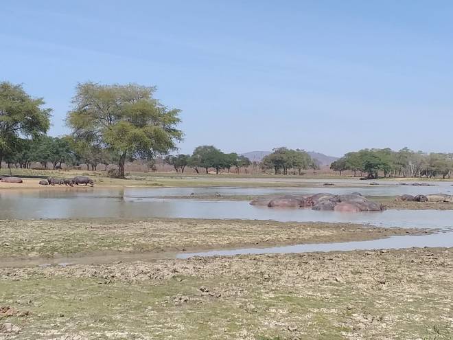 CD64D3AF-AD73-4E7A-9988-0C477C014249